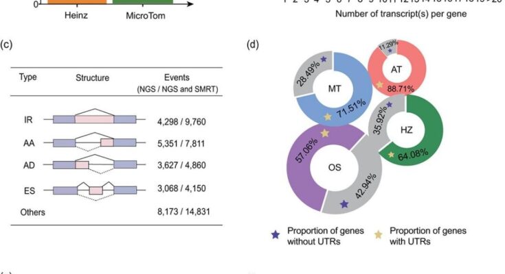 Desentrañando el genoma del microtomo de alta calidad y su impacto en la biología del desarrollo