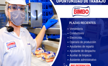 Construye Tu Trayectoria: Empleos en Grupo Bimbo te Esperan