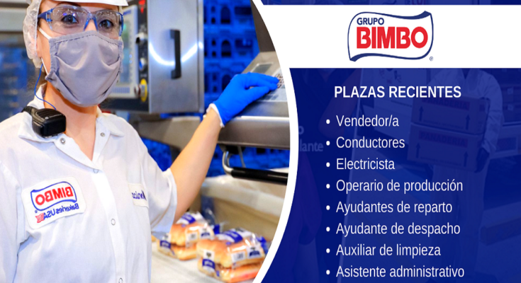 Construye Tu Trayectoria: Empleos en Grupo Bimbo te Esperan