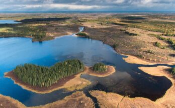Impulsando las ambiciones de Canadá hacia la conservación de la biodiversidad