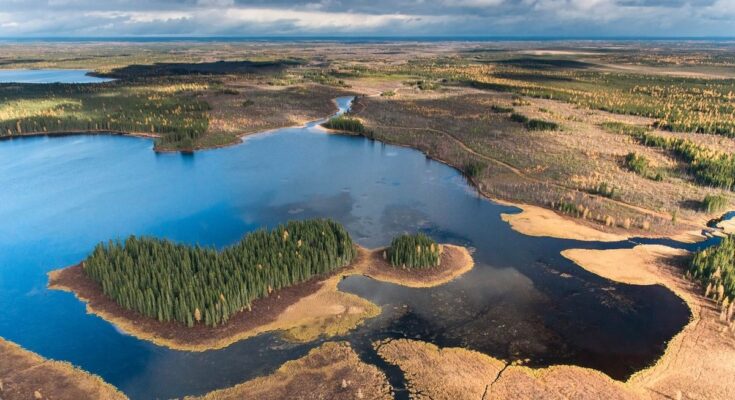 Impulsando las ambiciones de Canadá hacia la conservación de la biodiversidad
